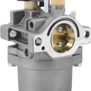 Karburator 590399, 796077