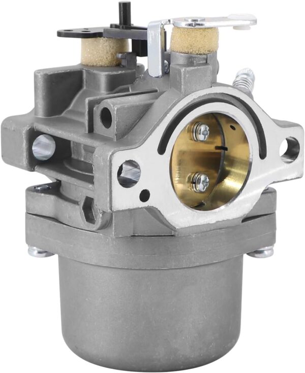 Karburator 590399, 796077