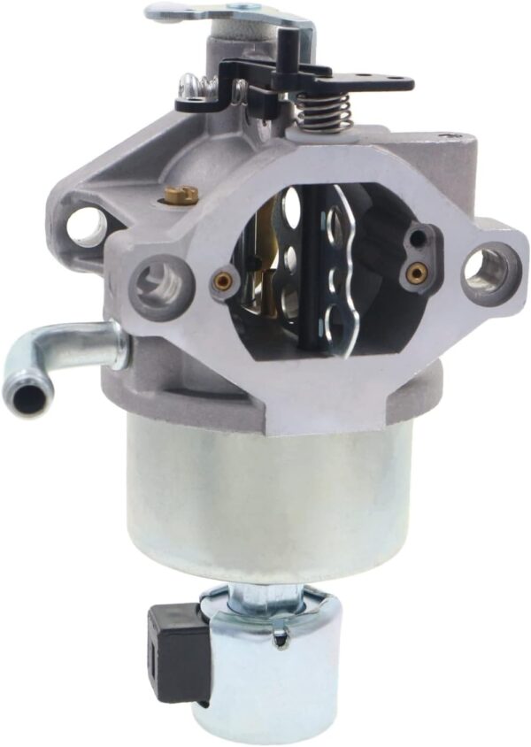 Karburator 794572, 799727 Ch
