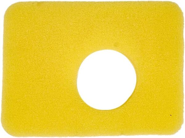 Filter vazduha B&S 799579 sunđer Ch